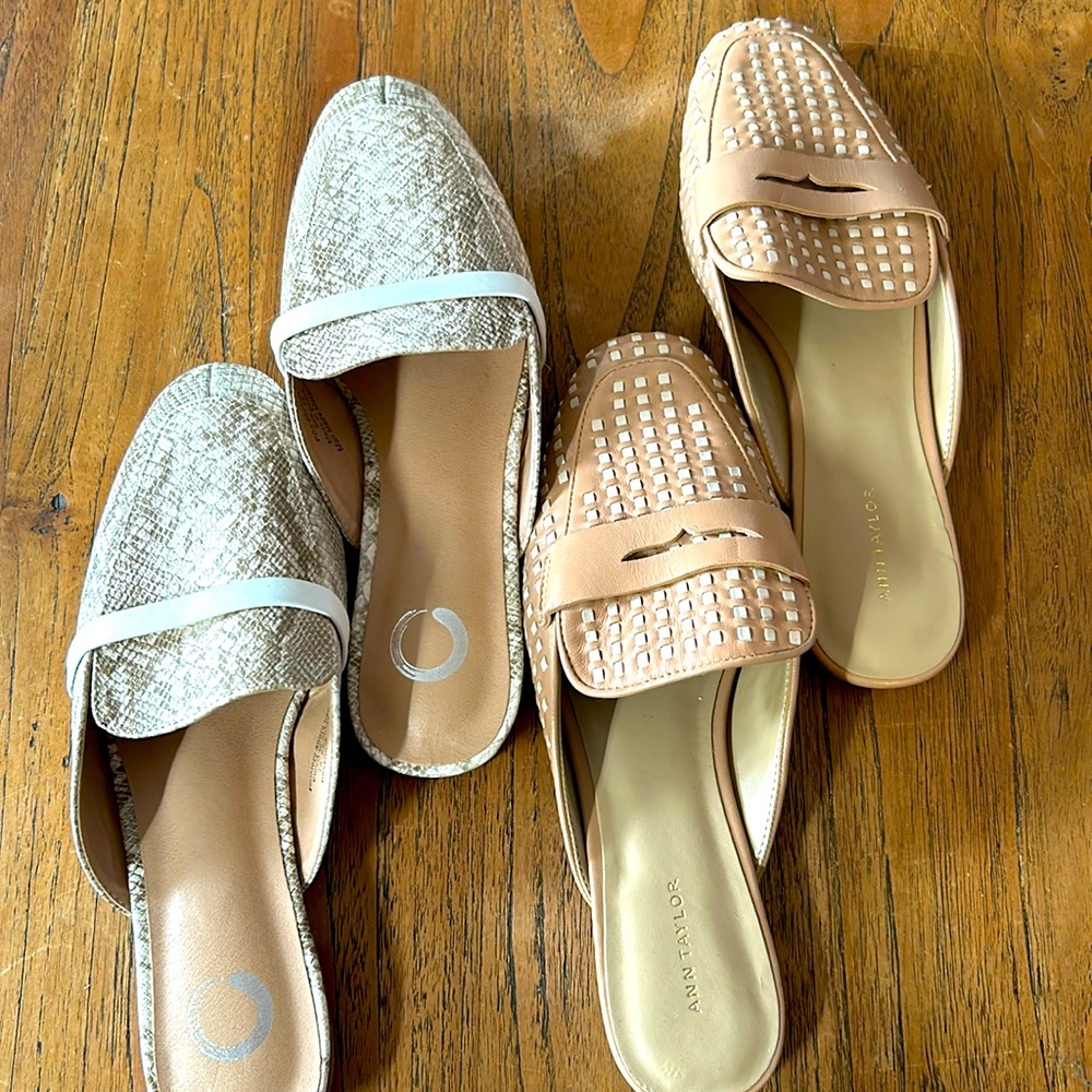 Flat Mule Bundle - Brand New!
